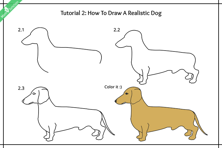 720x480 Step - Realistic Dog Drawing Step By Step