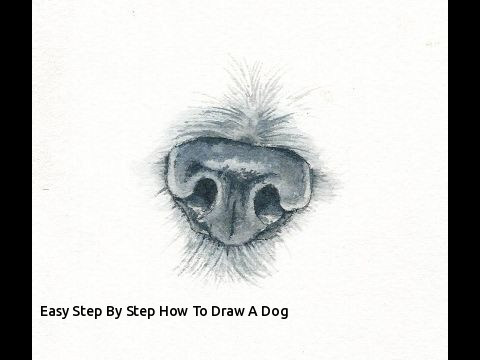 480x360 Easy Step - Realistic Dog Drawing Step By Step