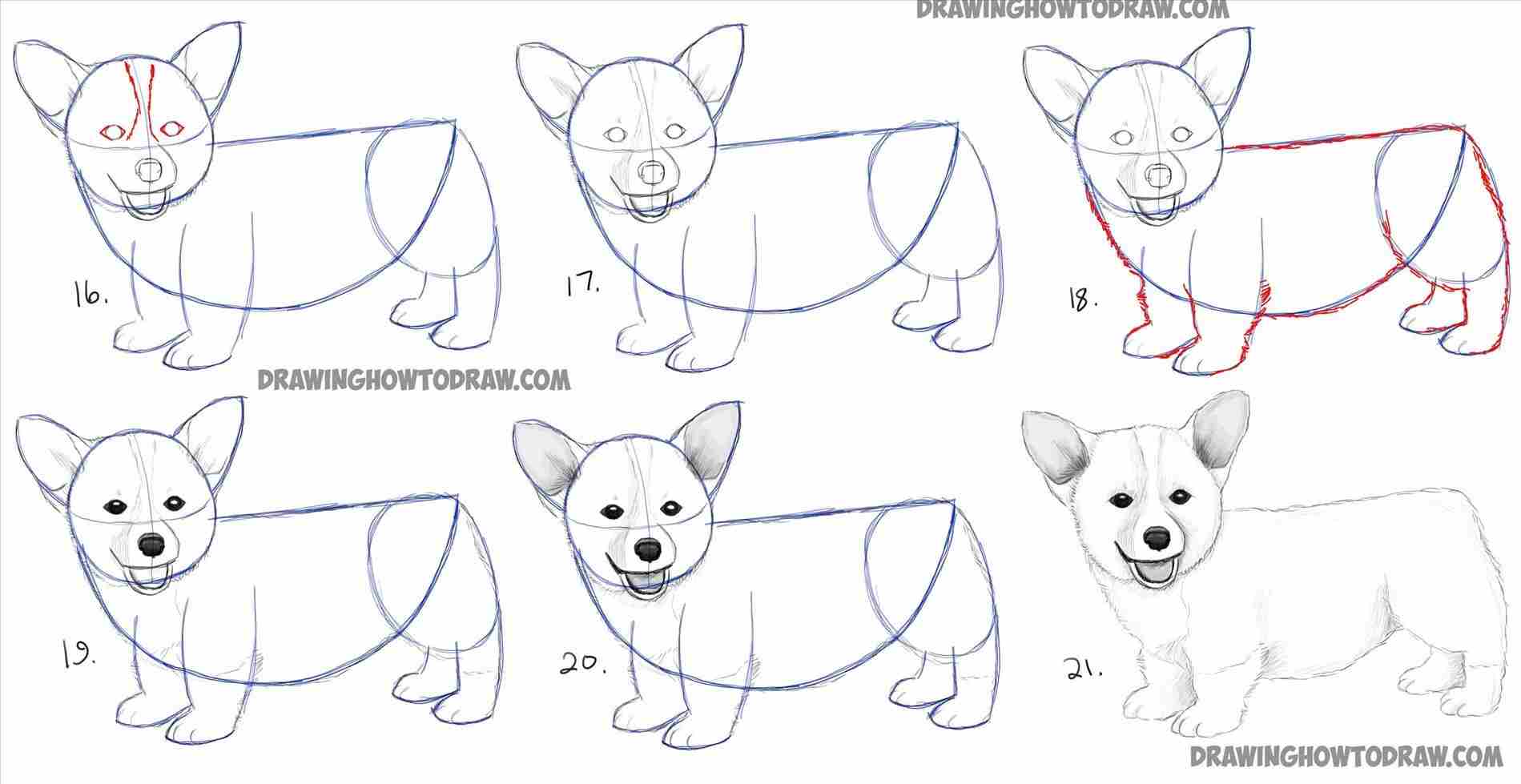 1899x979 How Realistic Dog Drawing Step - Realistic Dog Drawing Step By Step