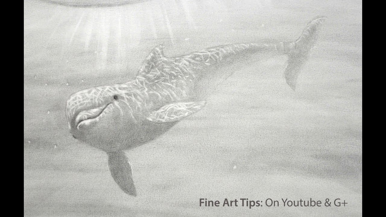1280x720 How To Draw A Dolphin Under Water - Realistic Dolphin Drawing