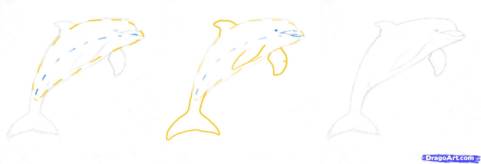 Жёлтый Дельфин нарисовать карандашом