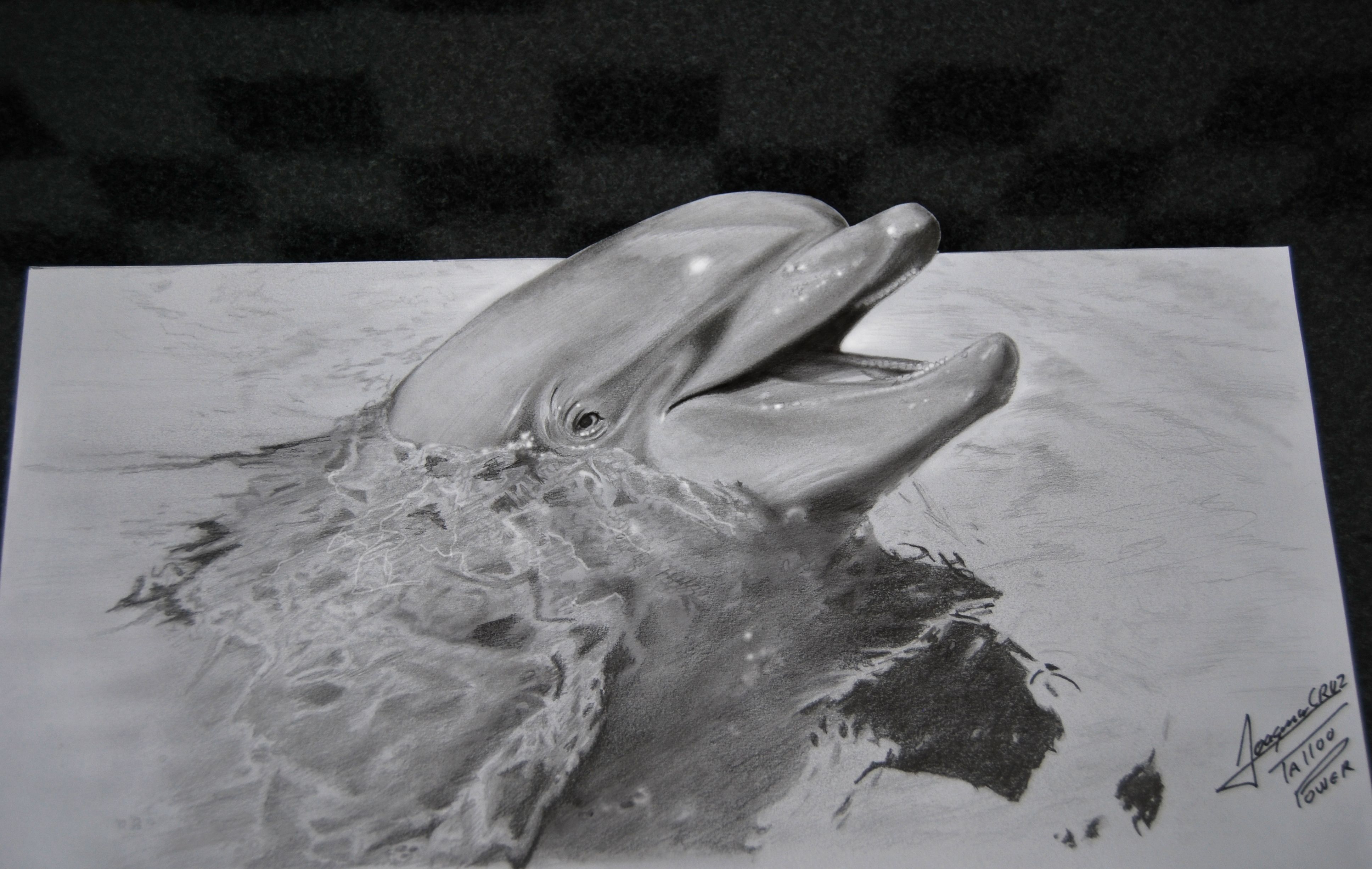 3872x2454 Realistic Draw Dolphin - Realistic Dolphin Drawing