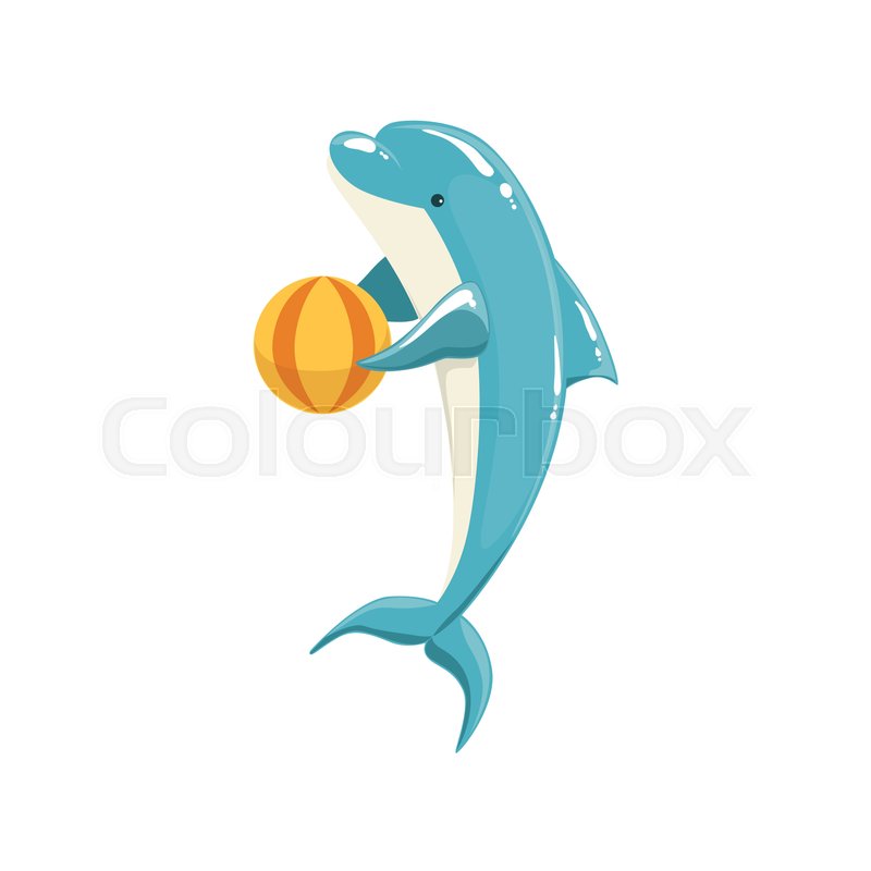 800x800 Blue Bottlenose Dolphin Holding Ball Stock Vector Colourbox - Realistic Dolphin Drawing