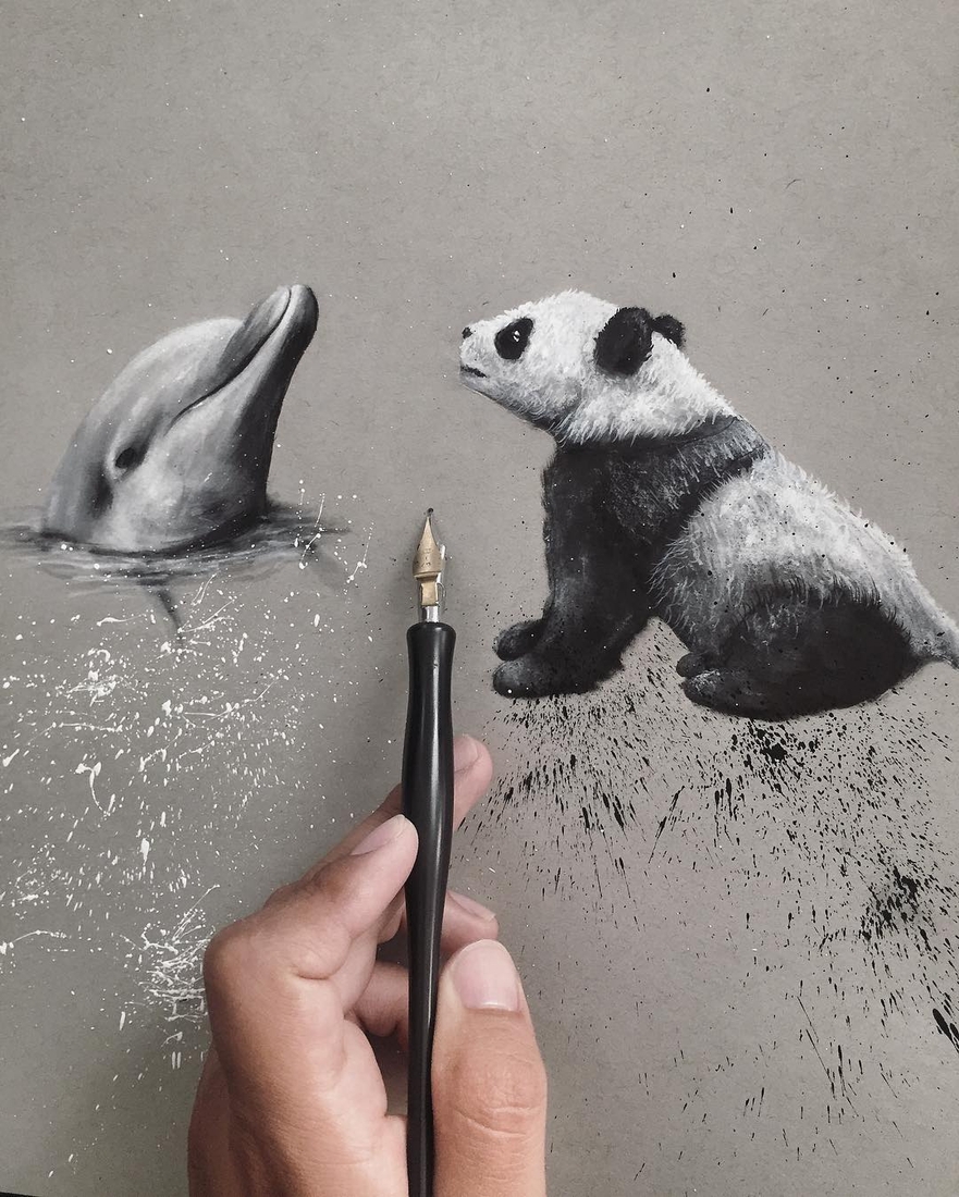 881x1100 Design Stack A Blog About Art, Design And Architecture Realistic - Realistic Dolphin Drawing