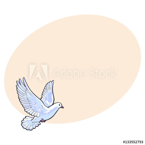 500x500 Free Flying White Dove, Sketch Style Vector Illustration Isolated - Realistic Dove Drawing