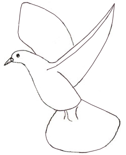 250x307 How To Draw A Dove - Realistic Dove Drawing