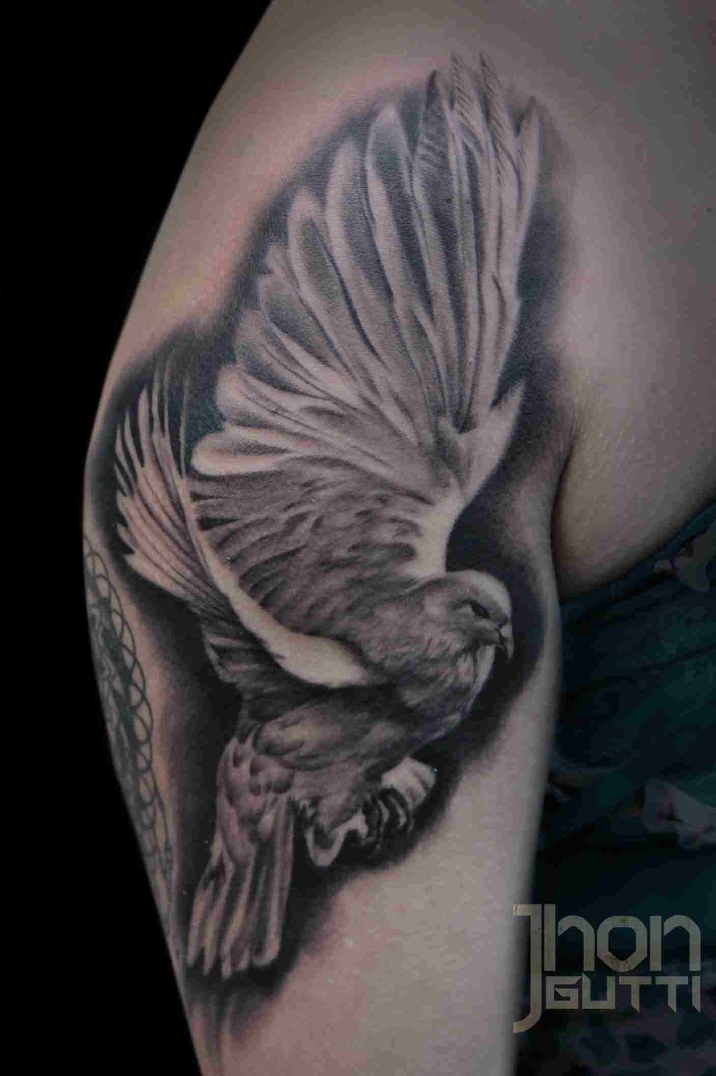 Realistic Dove Drawing at Explore collection of