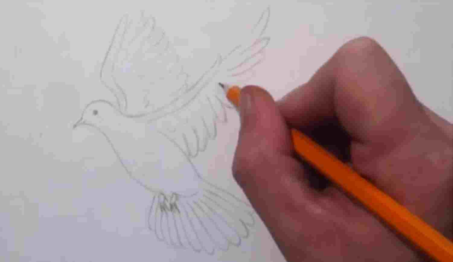 1501x868 search pyrography rhcouk realistic pencil draw - Realistic Dove Drawing