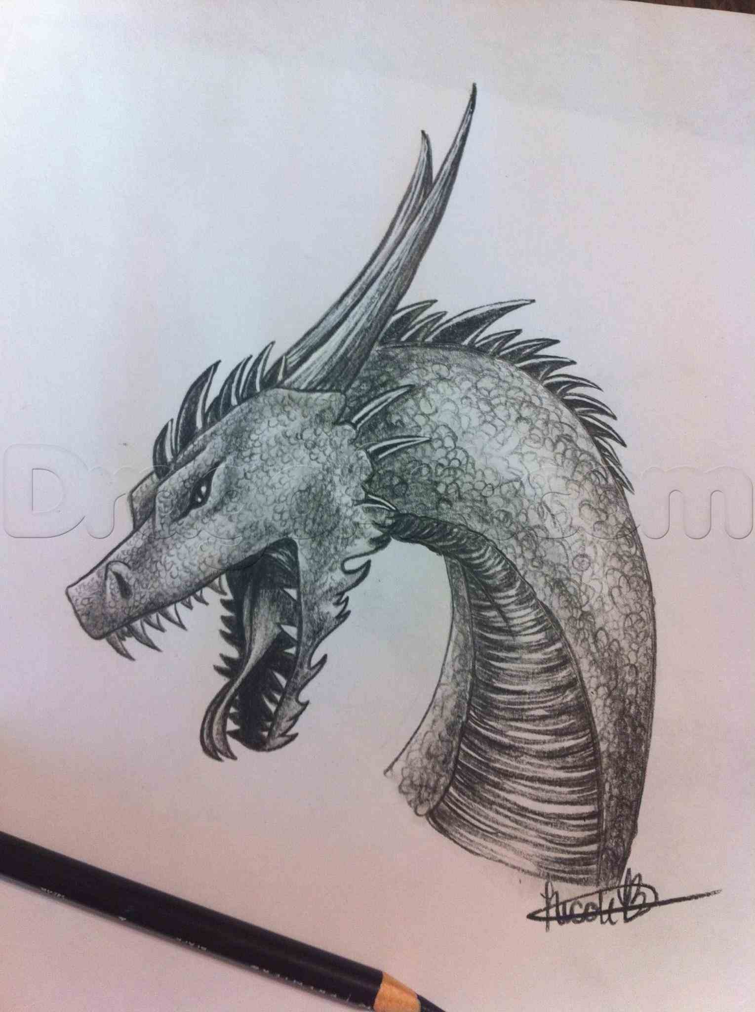 1529x2048 how realistic dragon drawing to draw a dragon step - Realistic Dragon Drawing