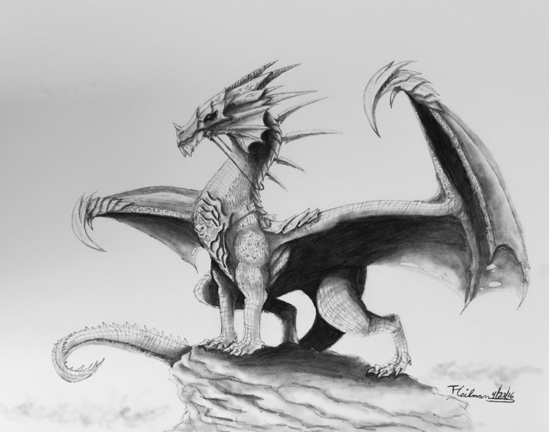794x624 Original Realistic Dragon Drawing In Graphite Pencil On Etsy - Realistic Dragon Drawing