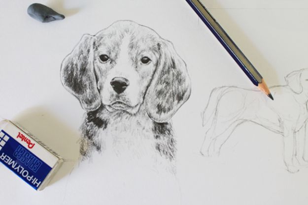 Realistic Drawing Of A Dog