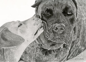 300x217 hyper realism drawings fine art america - Realistic Drawing Of A Dog