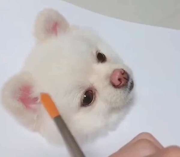 600x525 incredibly realistic drawing of dog o - Realistic Drawing Of A Dog
