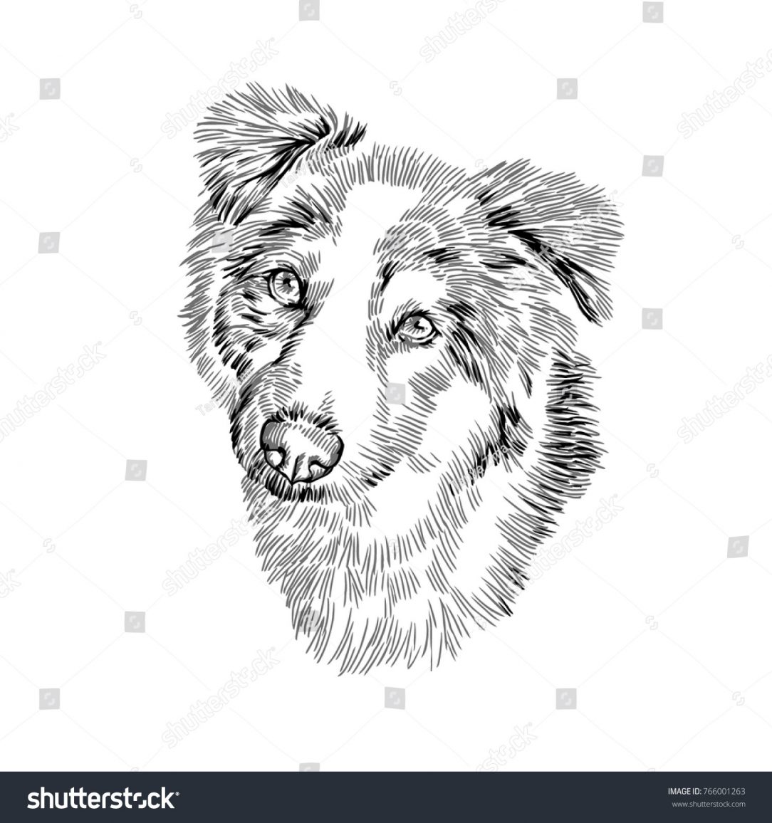 1084x1156 Cute Hot Dog Drawings A Realistic Step - Realistic Drawing Of A Dog