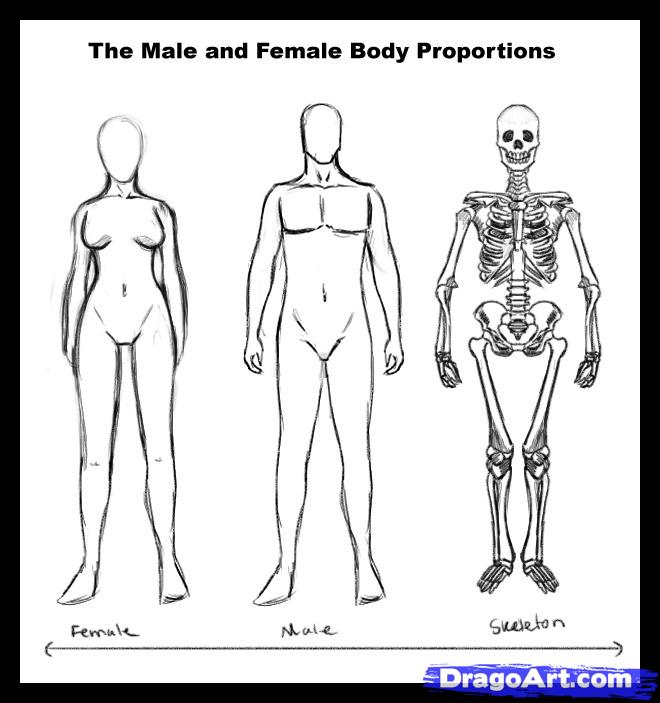 660x703 How To Draw Realistic People, Draw Real People, Step - Realistic Drawing Of A Person