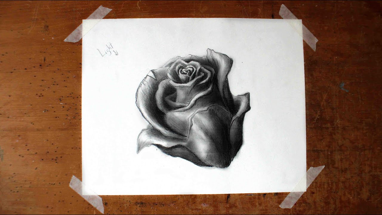 1280x720 How To Draw A Realistic Rose - Realistic Drawing Of A Rose