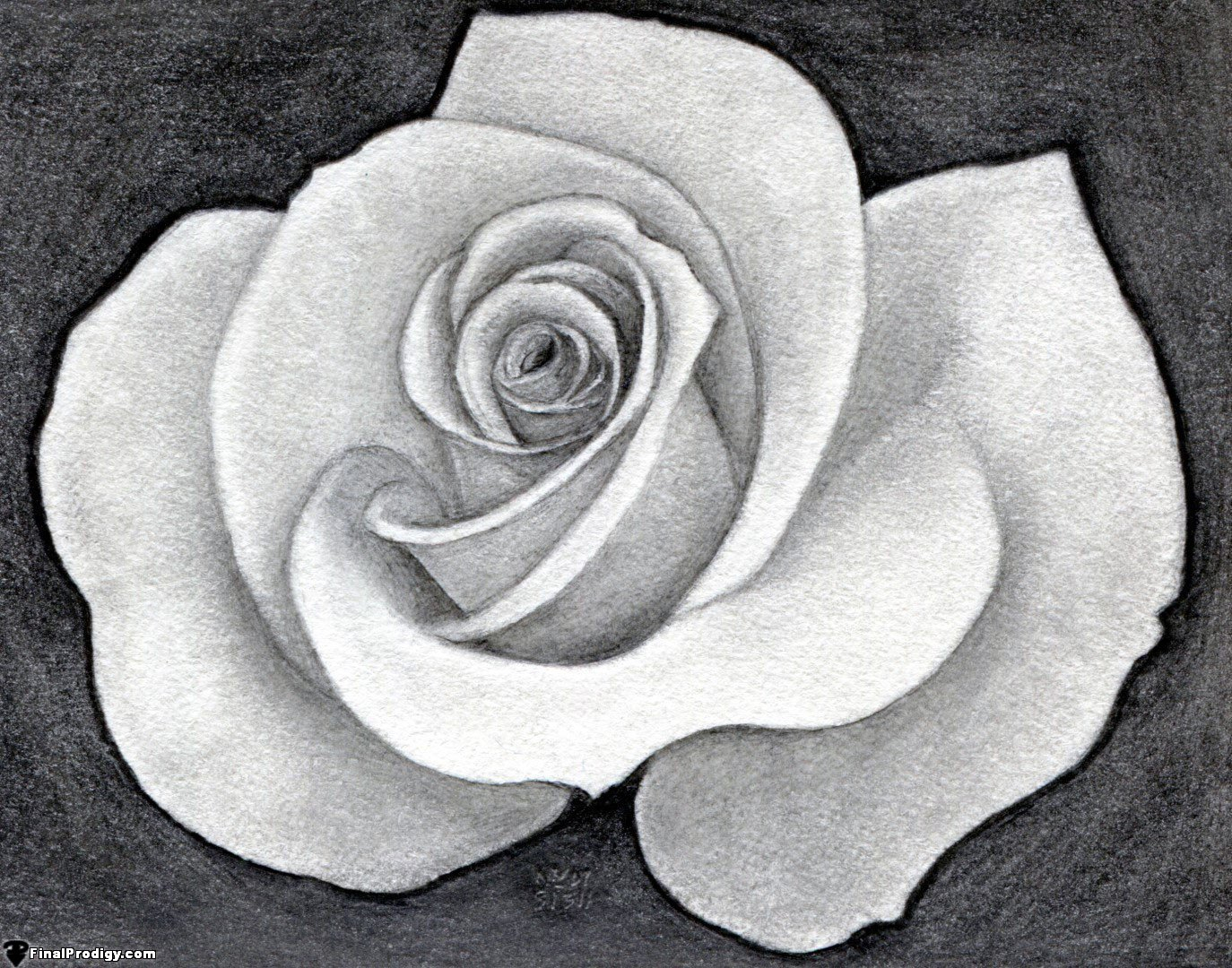 1374x1080 Realistic Flower Drawing Tutorial And How To Draw A Pretty Rose - Realistic Drawing Of A Rose
