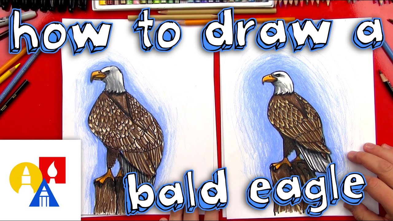 1280x720 how to draw a realistic bald eagle - Realistic Eagle Drawing