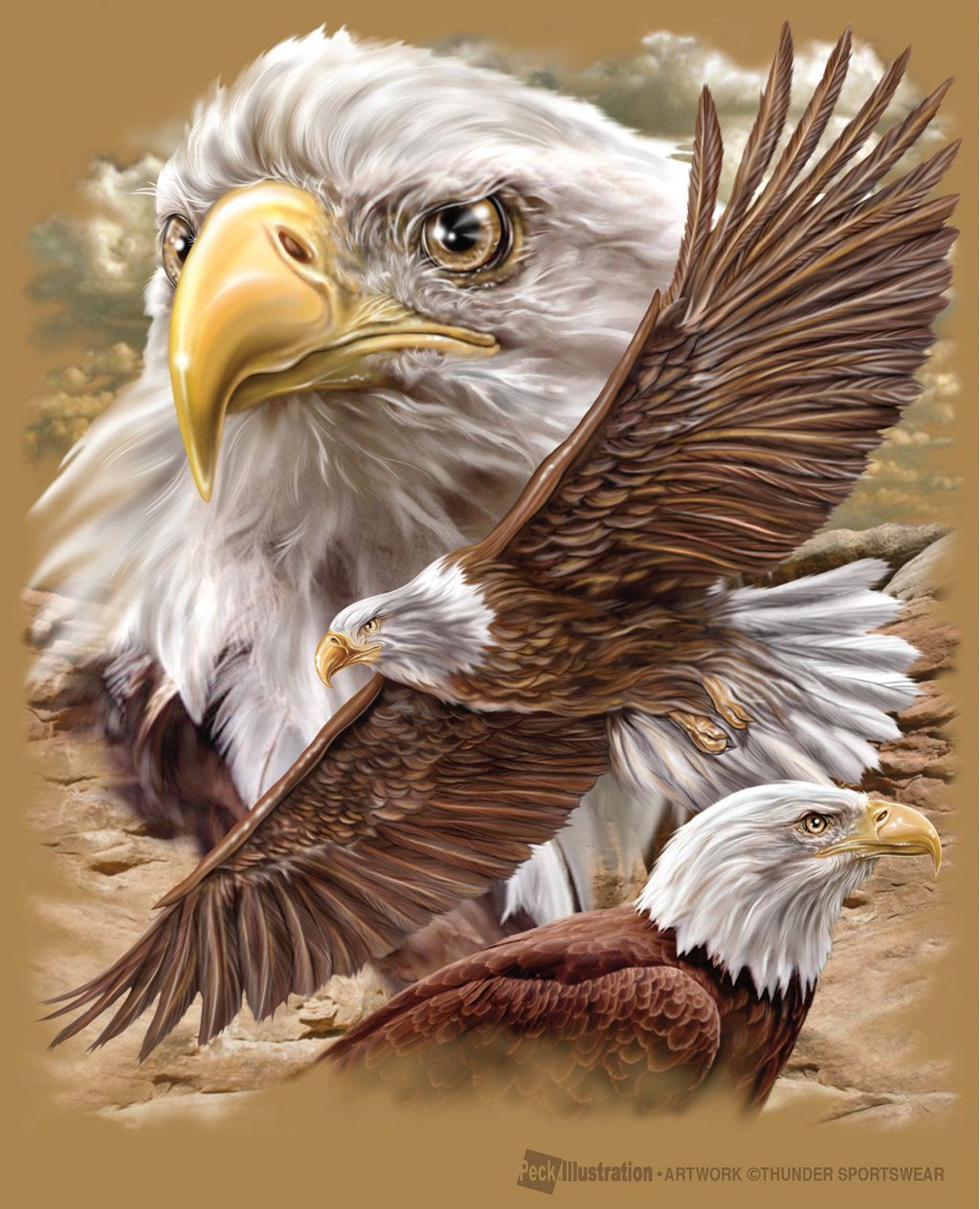 1024x1264 realistic eagle drawing eagle cliff - Realistic Eagle Drawing