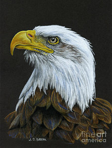 226x300 bald eagle paintings fine art america - Realistic Eagle Drawing