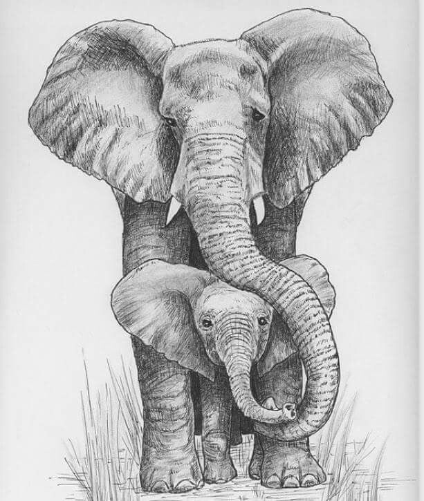 613x725 Junk Journals, Altered Boxes - Realistic Elephant Drawing