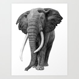 264x264 Realistic Elephant Art Prints - Realistic Elephant Drawing
