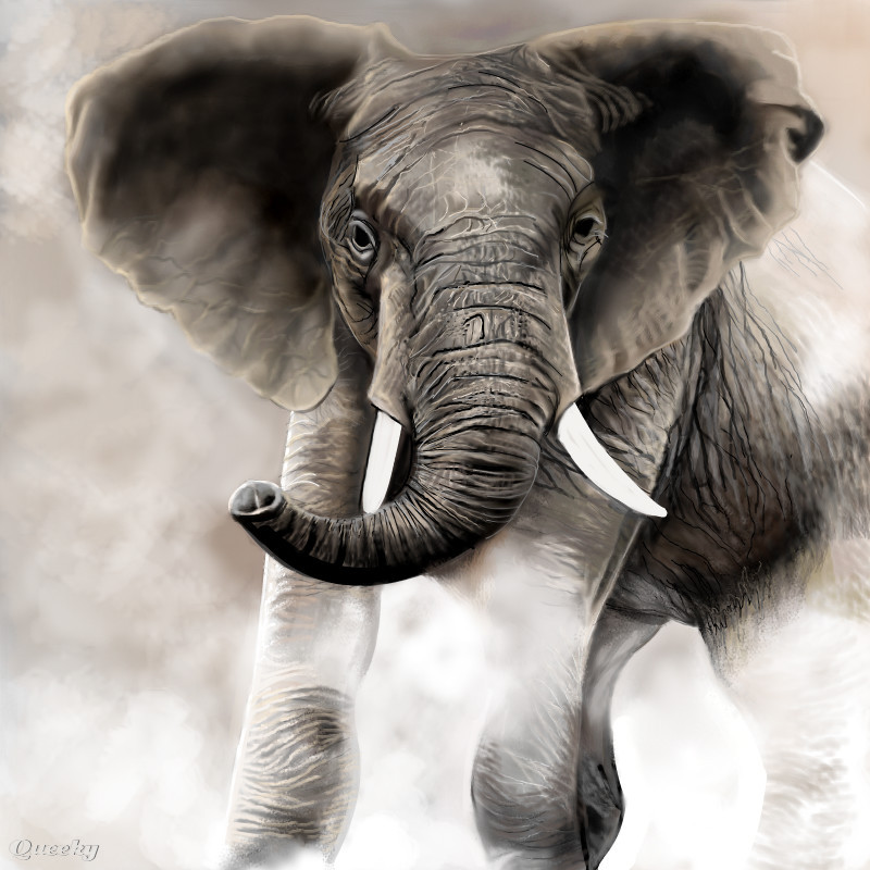 Realistic Elephant Drawing at PaintingValley.com | Explore collection ... Realistic Drawings Of Elephants