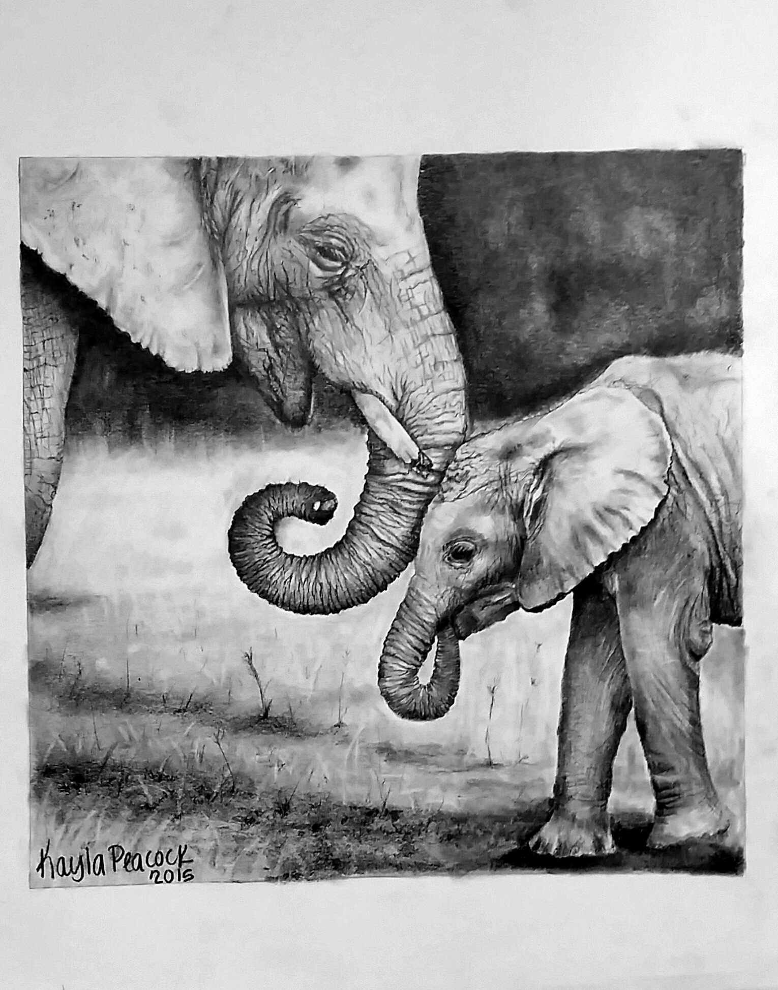 1530x1948 Realistic Drawing Sketchbook - Realistic Elephant Drawing