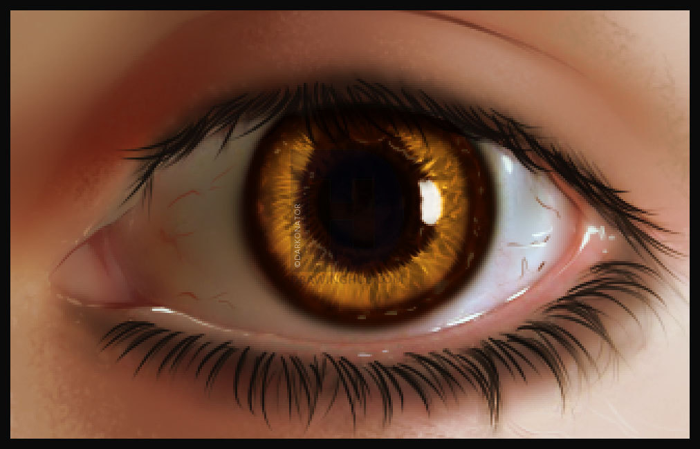 1012x650 How To Draw Realistic Eyes, Step - Realistic Eye Drawing
