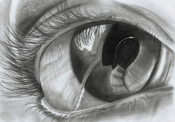 359x250 Realistic Eye - Realistic Eye Pencil Drawing