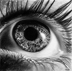 236x233 best eyes - Realistic Eyeball Drawing