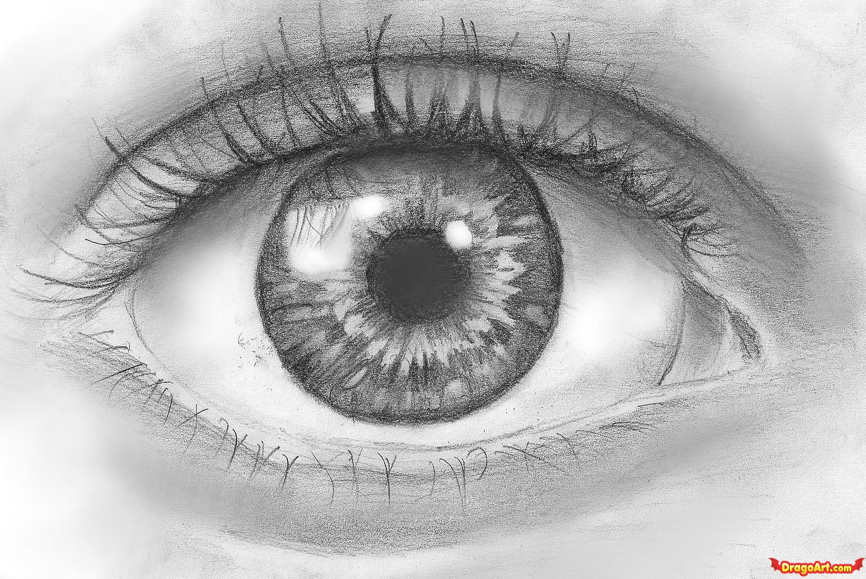 1764x1180 how to draw an eye in pencil, step - Realistic Eyeball Drawing