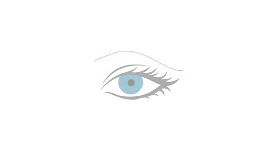 550x309 how to draw an eyebrow steps - Realistic Eyebrow Drawing