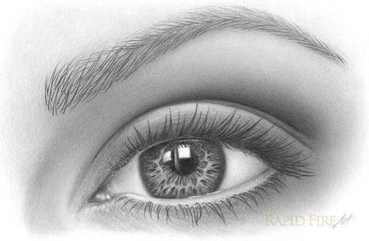 518x338 how to draw eyebrows on paper rapidfireart - Realistic Eyebrow Drawing