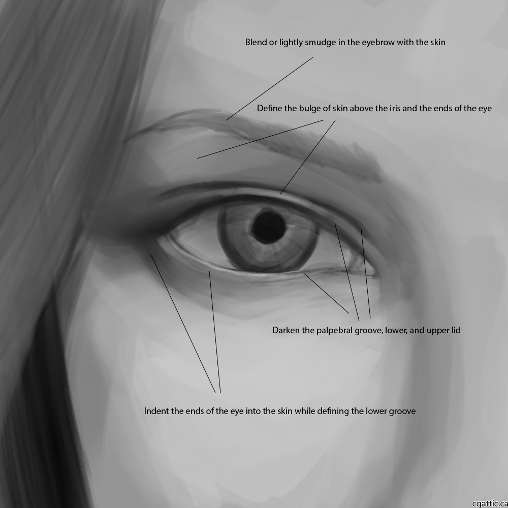 1000x1000 realistic eye drawing in steps with photoshop - Realistic Eyebrow Drawing