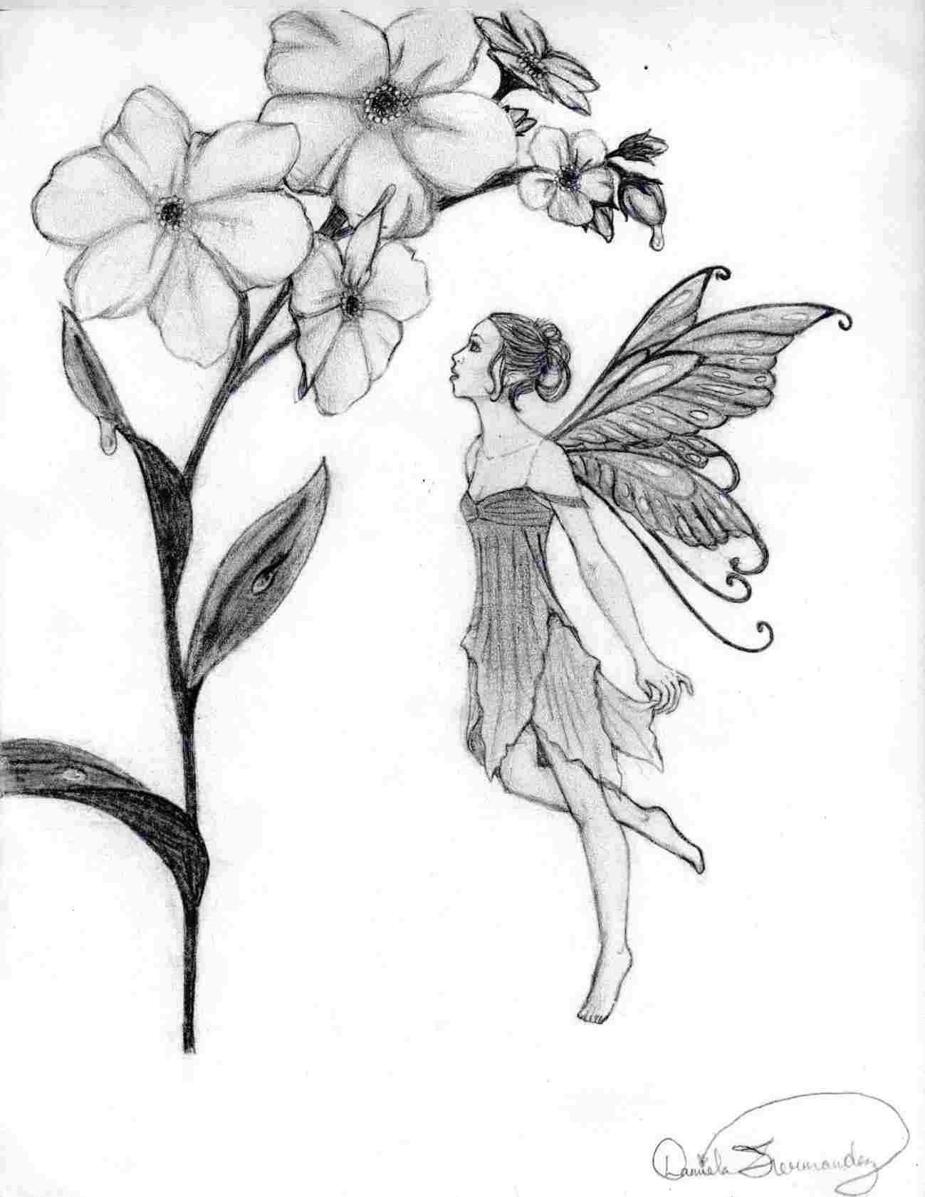 Realistic Fairy Drawing at Explore collection of