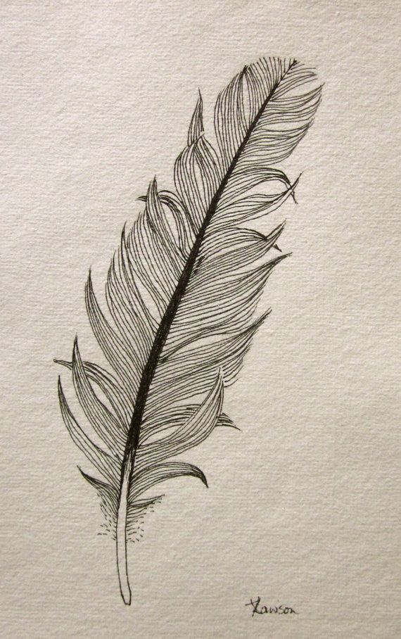 570x908 Feather Realistic Drawing Drawing Skill - Realistic Feather Drawing