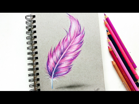 480x360 Feather Drawing With Colored Pencil! Leontine Van Vliet - Realistic Feather Drawing