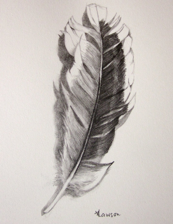 570x738 realistic original pencil drawing messy feather - Realistic Feather Drawing