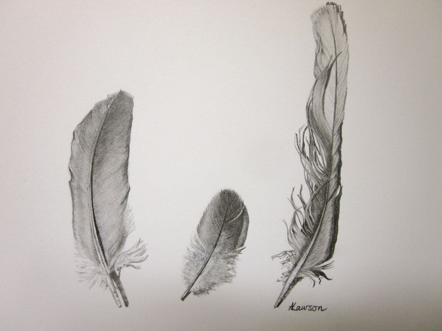 1500x1125 drawing realistic feathers - Realistic Feather Drawing