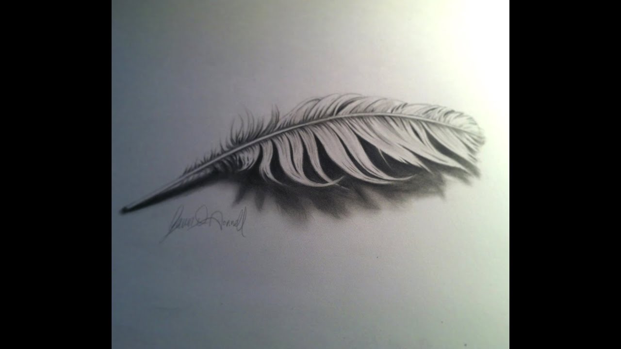 1280x720 Drawing A Feather - Realistic Feather Drawing