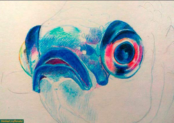 600x427 How To Draw Fish With Colored Pencils - Realistic Fish Drawing