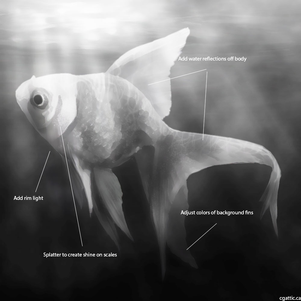 1000x1000 Realistic Fish Drawing In Steps With Photoshop - Realistic Fish Drawing