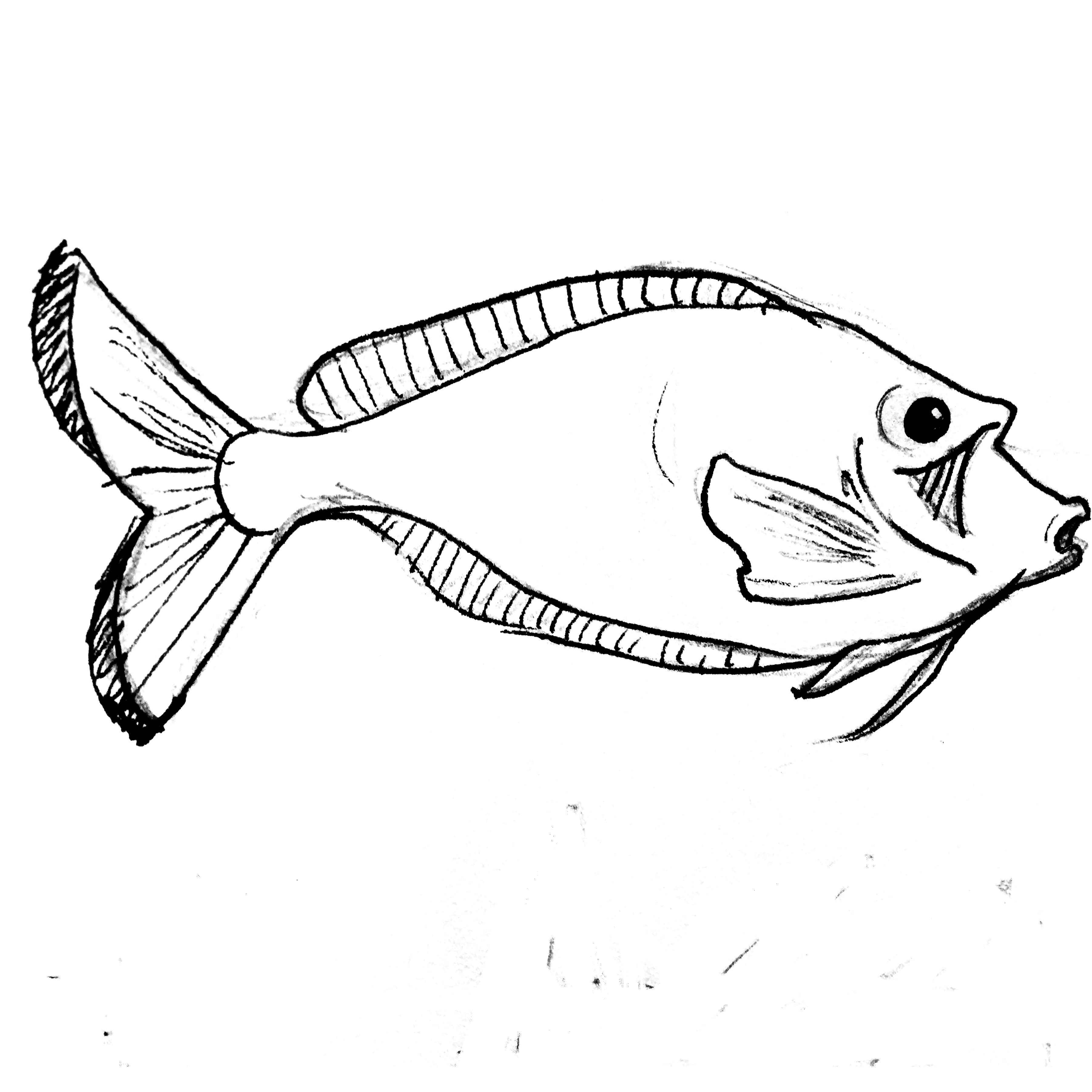 3600x3600 Realistic Fish Jumping Banner Royalty Free Library Black And White - Realistic Fish Drawing