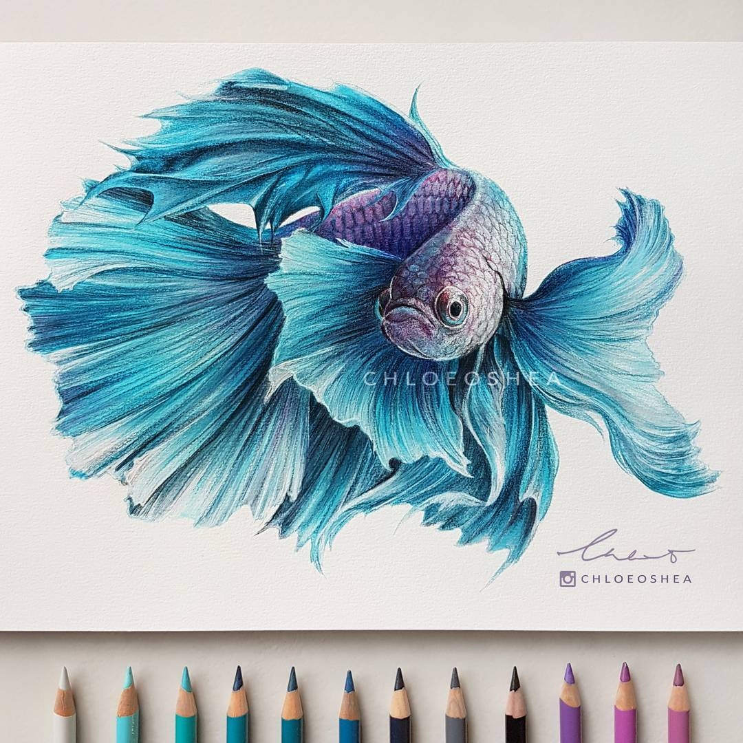 1080x1080 Design Stack A Blog About Art, Design And Architecture Realistic - Realistic Fish Drawing