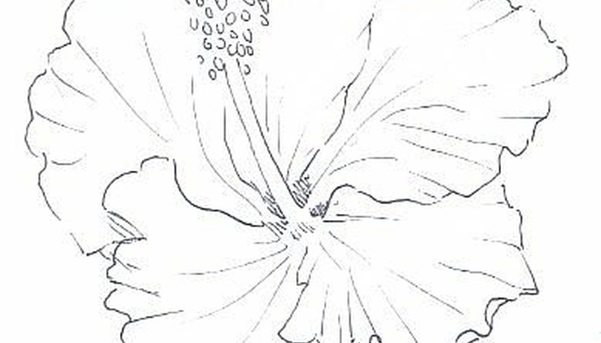 877x500 how to draw realistic flower petals in watercolor pencil and pen - Realistic Flower Drawing