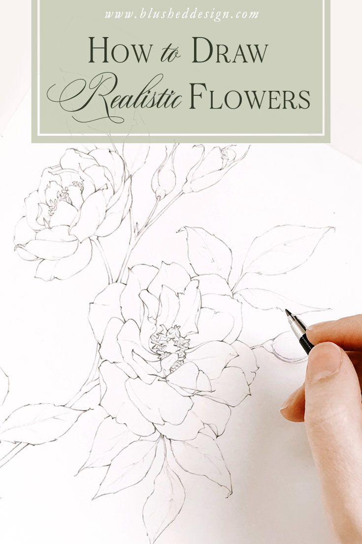735x1102 improve your flower drawing in less than week! blushed design - Realistic Flower Drawing