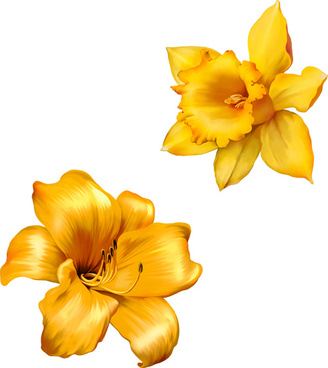 328x368 Realistic Flower Drawing Free Vector Download - Realistic Flower Drawing