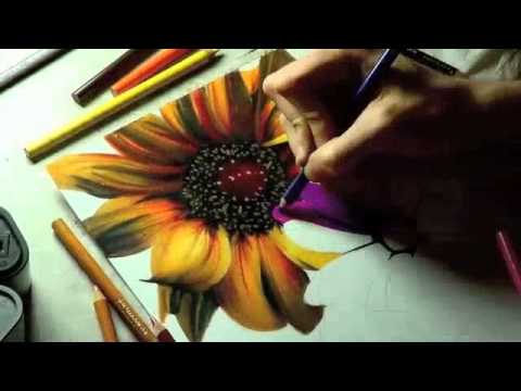 480x360 Drawing Realistic Flowers With Colored Pencil - Realistic Flower Drawing