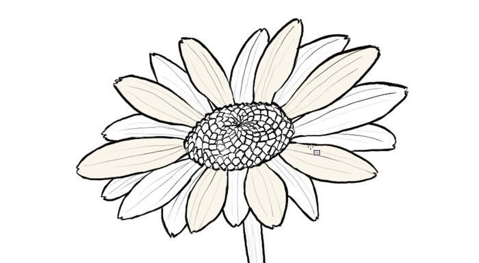 700x384 how to draw flowers the innocent and cheerful daisy - Realistic Flowers Drawing